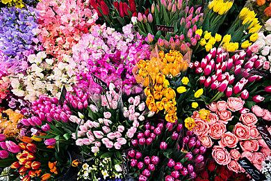 芋虫爬山之旅《小虫虫》10月27日登陆steam